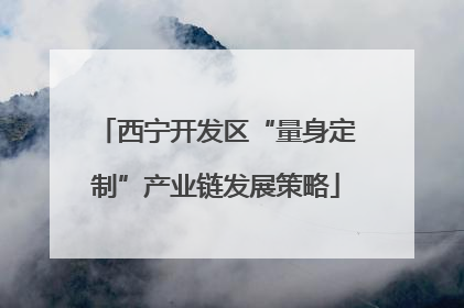 西宁开发区“量身定制”产业链发展策略