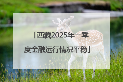西藏2025年一季度金融运行情况平稳