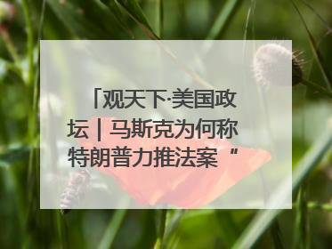 观天下·美国政坛｜马斯克为何称特朗普力推法案“令人作呕”