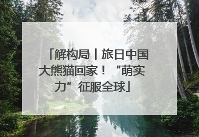 解构局丨旅日中国大熊猫回家！“萌实力”征服全球