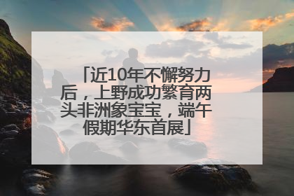 近10年不懈努力后，上野成功繁育两头非洲象宝宝，端午假期华东首展