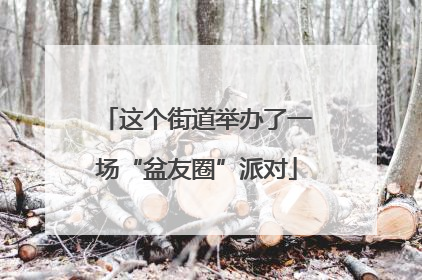 这个街道举办了一场“盆友圈”派对