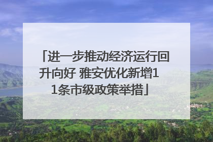 进一步推动经济运行回升向好 雅安优化新增11条市级政策举措