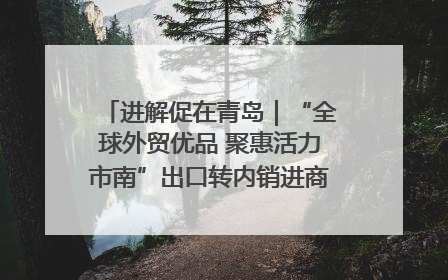 进解促在青岛｜“全球外贸优品 聚惠活力市南”出口转内销进商超专场活动启动