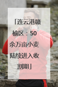 连云港赣榆区：50余万亩小麦陆续进入收割期