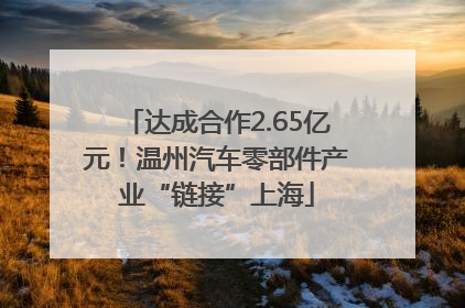 达成合作2.65亿元！温州汽车零部件产业“链接”上海