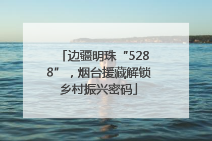 边疆明珠“5288”，烟台援藏解锁乡村振兴密码