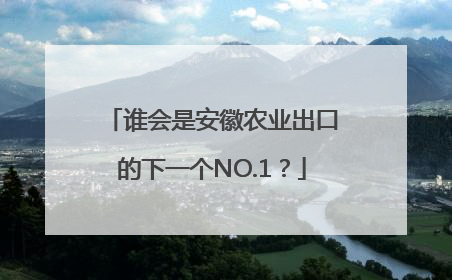 谁会是安徽农业出口的下一个NO.1？