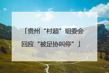 贵州“村超”组委会回应“被足协叫停”