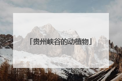 贵州峡谷的动植物