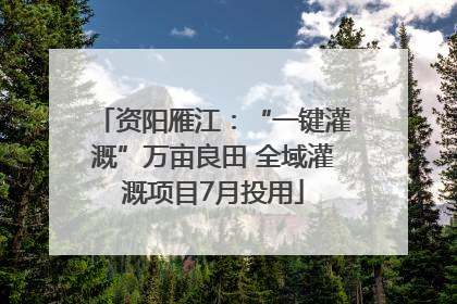 资阳雁江：“一键灌溉”万亩良田 全域灌溉项目7月投用
