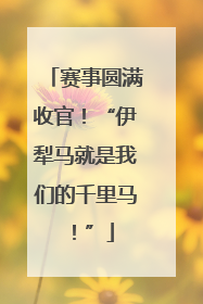 赛事圆满收官！“伊犁马就是我们的千里马！”
