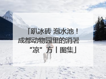 趴冰砖 泡水池！成都动物园里的消暑“凉”方丨图集