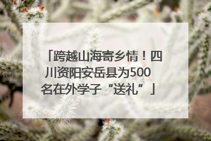 跨越山海寄乡情！四川资阳安岳县为500名在外学子“送礼”