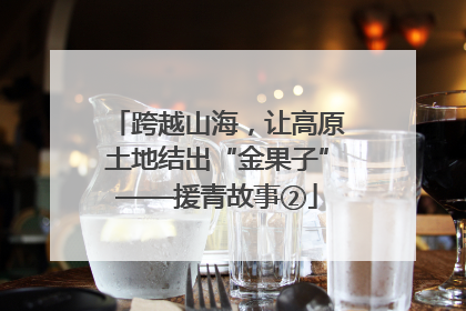 跨越山海，让高原土地结出“金果子”——援青故事②