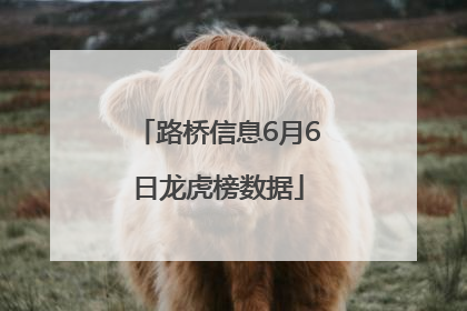 路桥信息6月6日龙虎榜数据