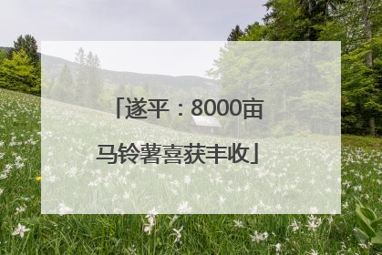 遂平：8000亩马铃薯喜获丰收