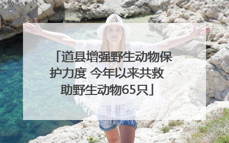 道县增强野生动物保护力度 今年以来共救助野生动物65只