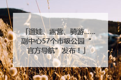 遛娃、露营、骑游……副中心57个市级公园“官方导航”发布！