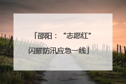 邵阳：“志愿红”闪耀防汛应急一线