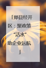 郏县经开区：聚政策“活水” 助企业远航