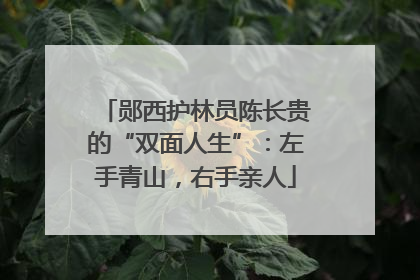 郧西护林员陈长贵的“双面人生”：左手青山，右手亲人