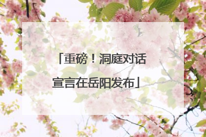 重磅！洞庭对话宣言在岳阳发布