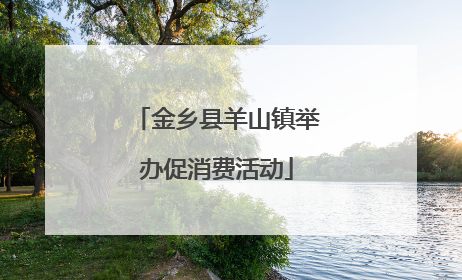 金乡县羊山镇举办促消费活动