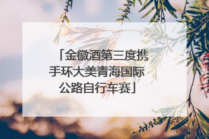 金徽酒第三度携手环大美青海国际公路自行车赛