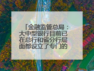 金融监管总局：大中型银行目前已在总行和省分行层面都设立了专门的科技金融部门
