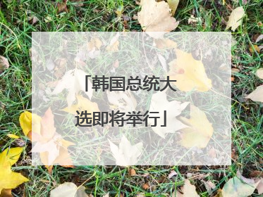韩国总统大选即将举行