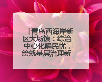 青岛西海岸新区大场镇：综治中心化解民忧，绘就基层治理新“枫”景