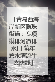 青岛西海岸新区隐珠街道：专项摸排河道排水口 筑牢碧水清流生态防线