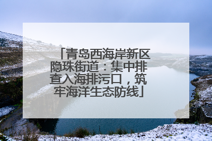 青岛西海岸新区隐珠街道：集中排查入海排污口，筑牢海洋生态防线