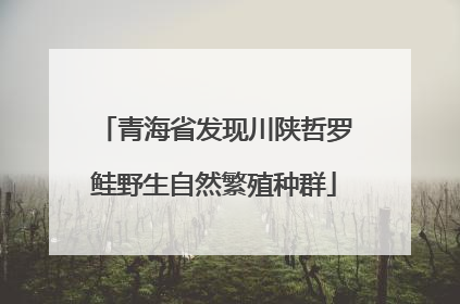 青海省发现川陕哲罗鲑野生自然繁殖种群