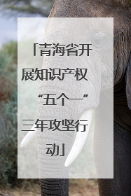 青海省开展知识产权“五个一”三年攻坚行动