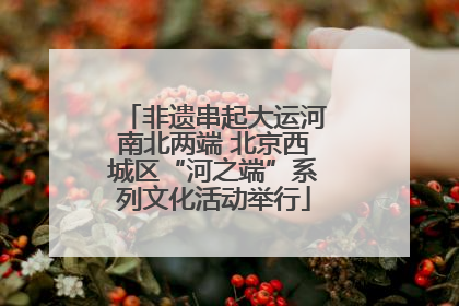 非遗串起大运河南北两端 北京西城区“河之端”系列文化活动举行