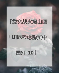 靠实战火爆出圈！印尼考虑购买中国歼-10