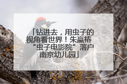 钻进去，用虫子的视角看世界！朱赢椿“虫子电影院”落户南京幼儿园