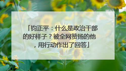 钧正平：什么是政治干部的好样子？被全网赞扬的他，用行动作出了回答
