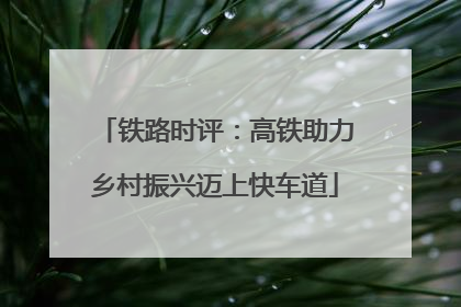 铁路时评：高铁助力乡村振兴迈上快车道