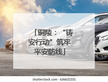 铜陵：“铸安行动”筑牢平安防线