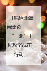 锦绣北疆绿更浓——“三北”工程攻坚战在行动