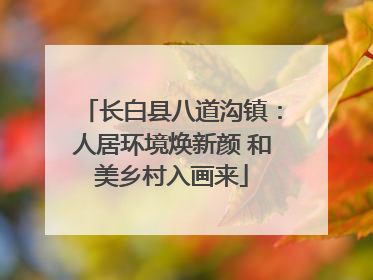 长白县八道沟镇：人居环境焕新颜 和美乡村入画来