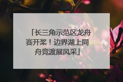 长三角示范区龙舟赛开桨！边界湖上同舟竞渡展风采