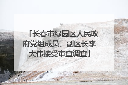 长春市绿园区人民政府党组成员、副区长李大伟接受审查调查