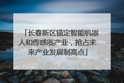 长春新区锚定智能机器人和传感器产业，抢占未来产业发展制高点