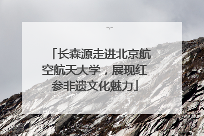长森源走进北京航空航天大学，展现红参非遗文化魅力