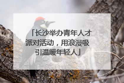 长沙举办青年人才派对活动，用浪漫吸引温暖年轻人