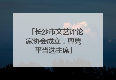长沙市文艺评论家协会成立，曹隽平当选主席